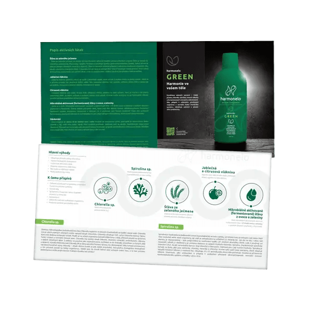 LEAFLET_10_GREEN_DE